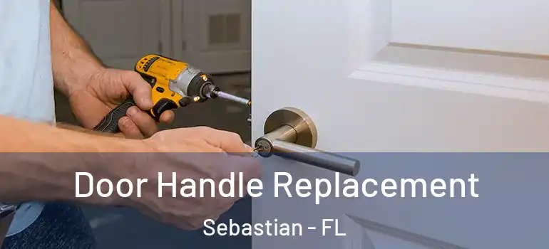 Door Handle Replacement Sebastian - FL