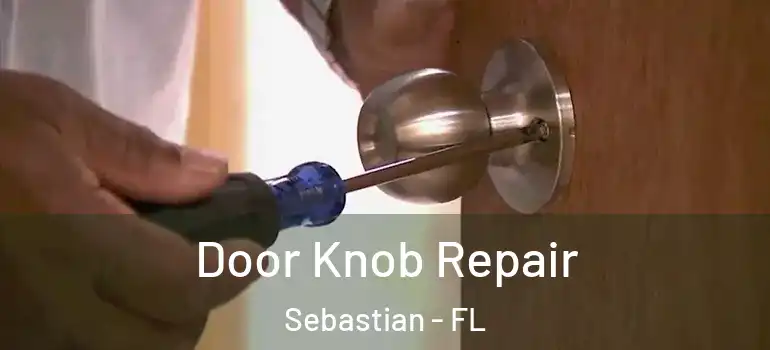  Door Knob Repair Sebastian - FL