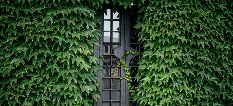 Garden Gate Repair in Sebastian, FL