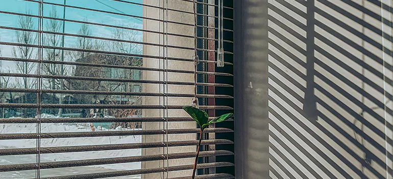 Commercial Window Blinds in Sebastian, FL