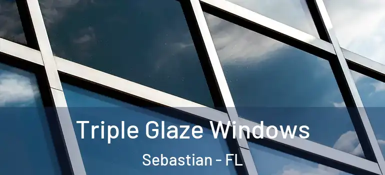  Triple Glaze Windows Sebastian - FL