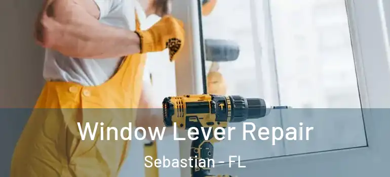  Window Lever Repair Sebastian - FL