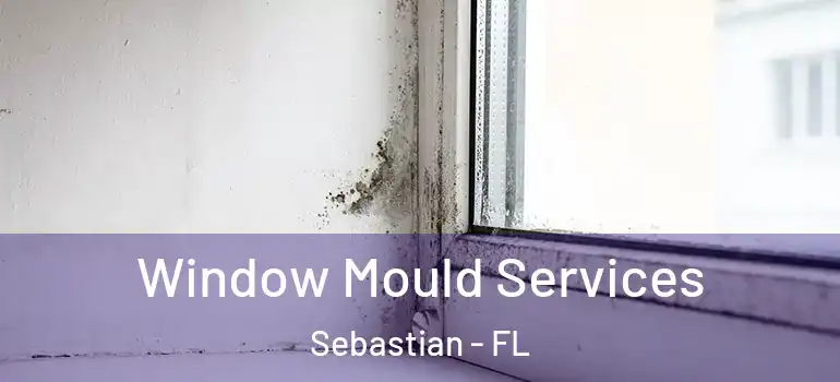  Window Mould Services Sebastian - FL